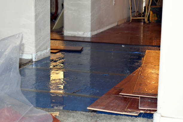 Professional Sewage Cleanup technician working in Winona, WV
